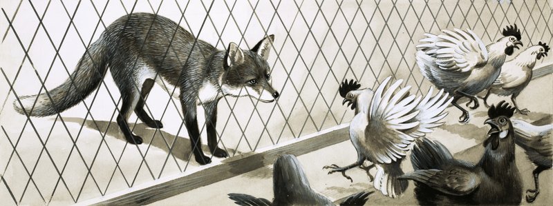 Fuchs beobachtet Hühner von English School