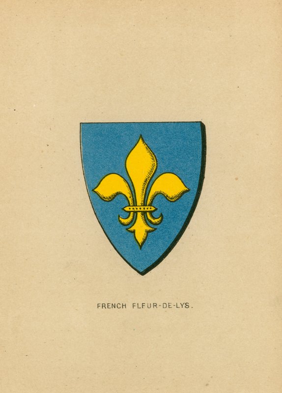 Französische Lilie von English School
