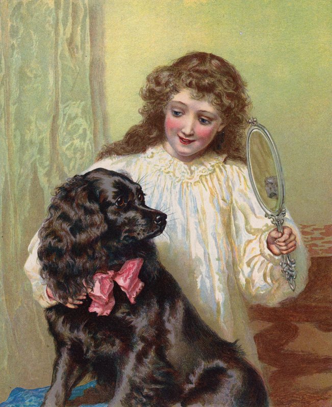 Mädchen zeigt ihrem Haustierhund sein Spiegelbild von English School