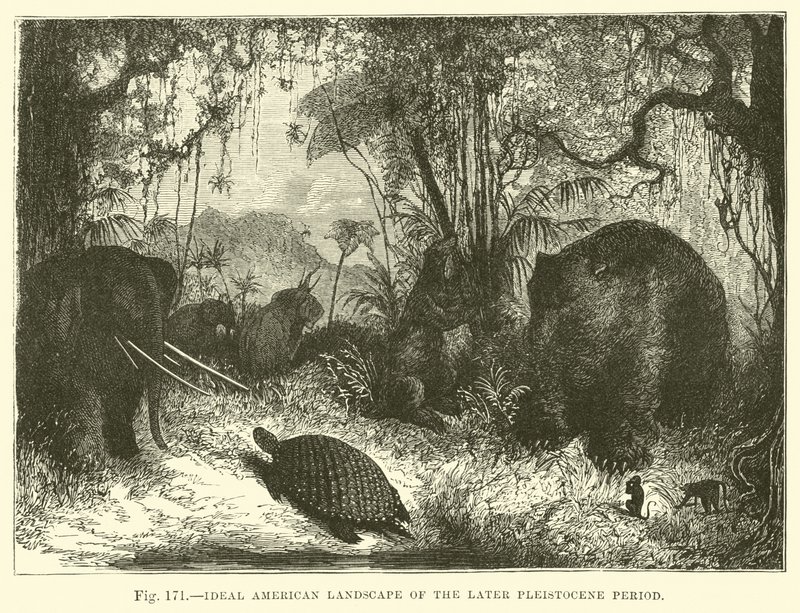 Ideale amerikanische Landschaft der späten Pleistozän-Periode von English School