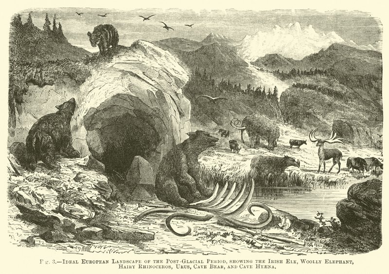 Ideale europäische Landschaft der postglazialen Periode, mit dem Irischen Elch, Wollmammut, Haarigem Nashorn, Urus, Höhlenbär und Höhlenhyäne von English School