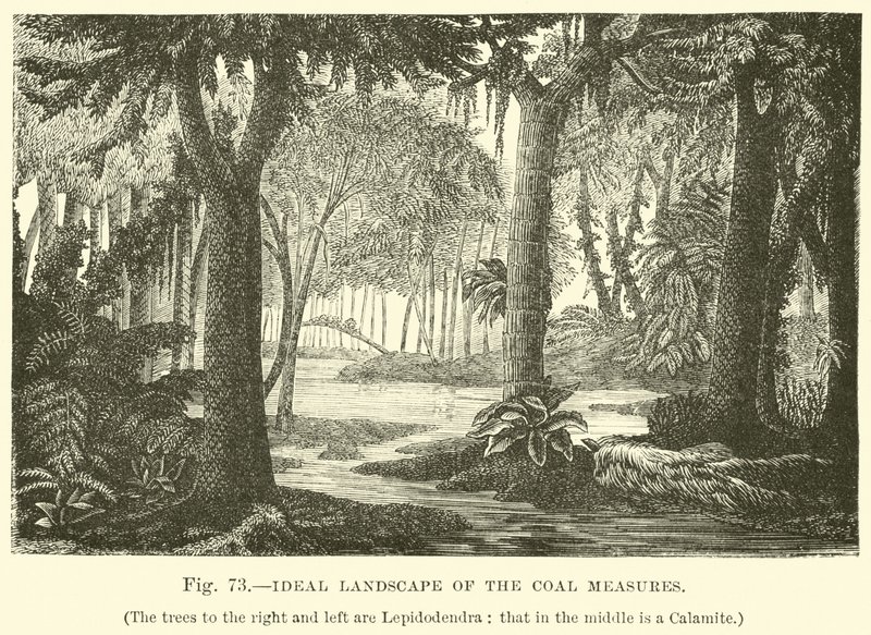 Ideale Landschaft der Kohleflöze von English School