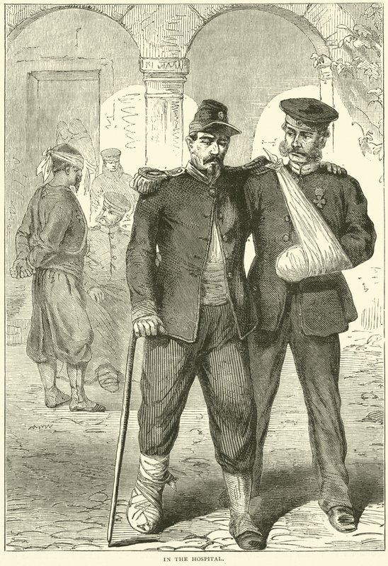 Im Krankenhaus, November 1870 von English School