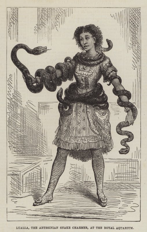 Lualla, die abessinische Schlangenbeschwörerin im Royal Aquarium (Gravur) von English School