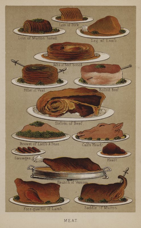 Fleisch von English School