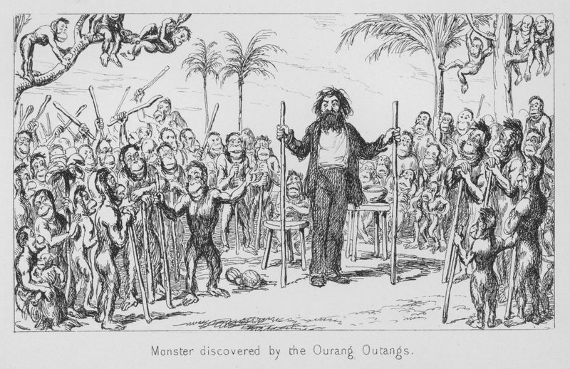 Monster entdeckt von den Orang-Utans von English School