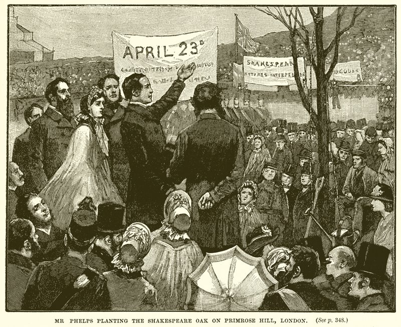Mr. Phelps pflanzt die Shakespeare-Eiche auf dem Primrose Hill, London von English School