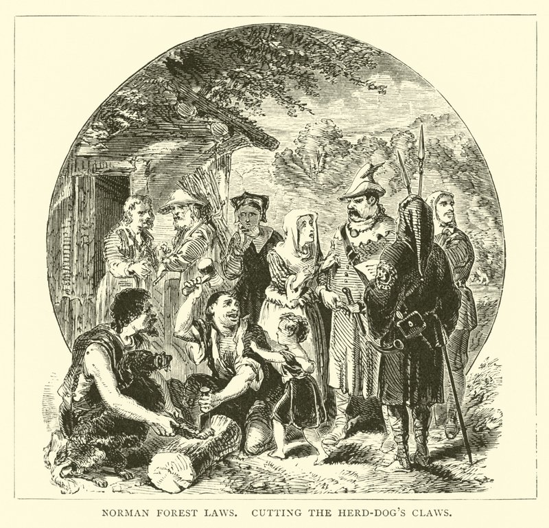 Normannische Waldgesetze, das Schneiden der Krallen der Hütehunde von English School