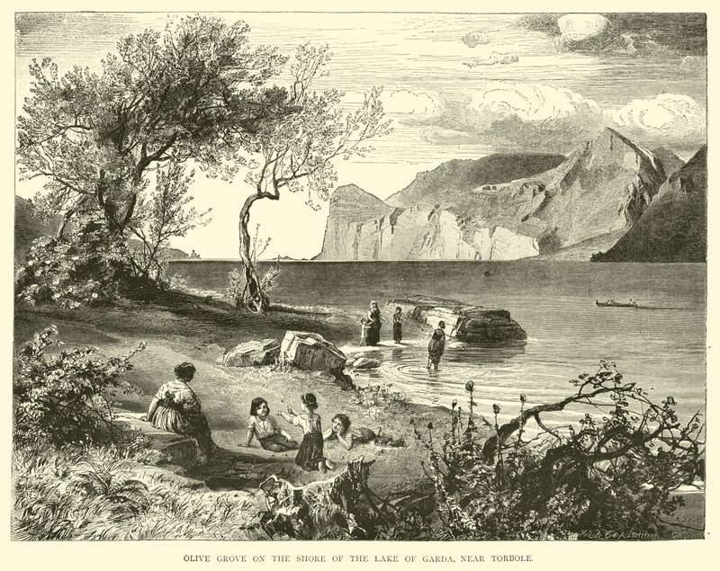Olivenhain am Ufer des Gardasees, nahe Torbole von English School
