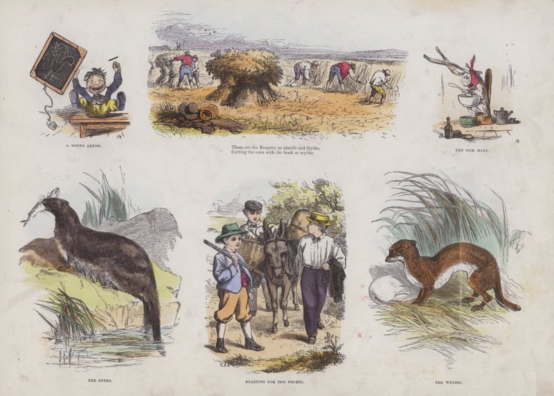 Seite aus dem attraktiven Bilderbuch (farbige Gravur) von English School