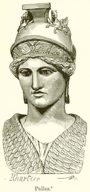 Pallas von English School