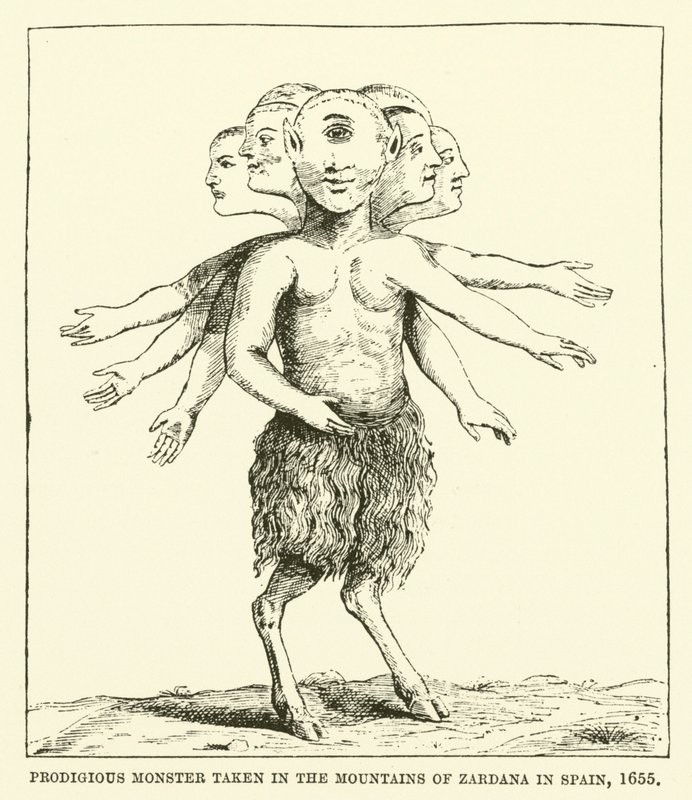 Wunderbares Monster in den Bergen von Zardana in Spanien gefangen, 1655 von English School