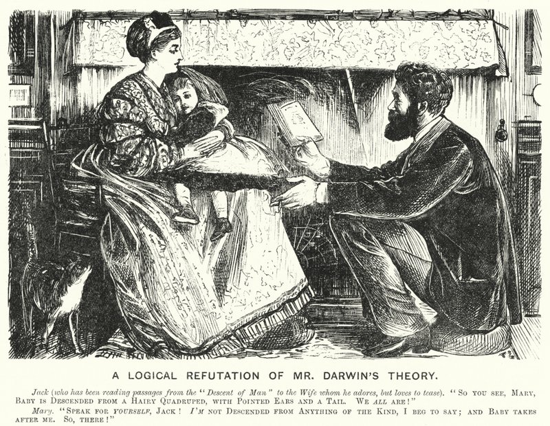 Punch-Karikatur: Eine logische Widerlegung von Mr. Darwins Theorie von English School