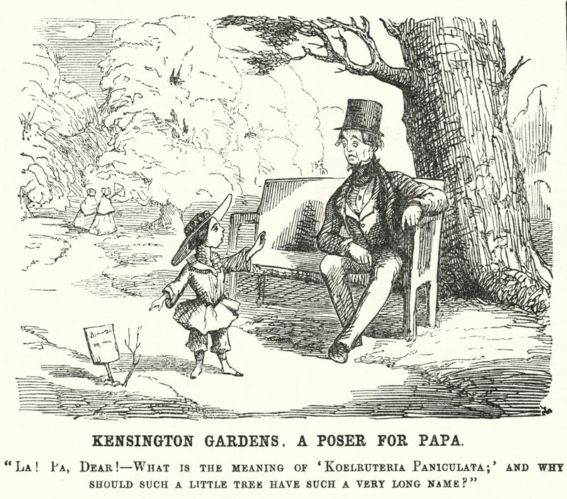 Kind stellt seinem Vater eine Frage in den Kensington Gardens, London (Stich) von English School