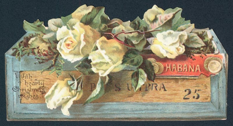 Rosen in Zigarrenkiste, Weihnachtskarte von English School