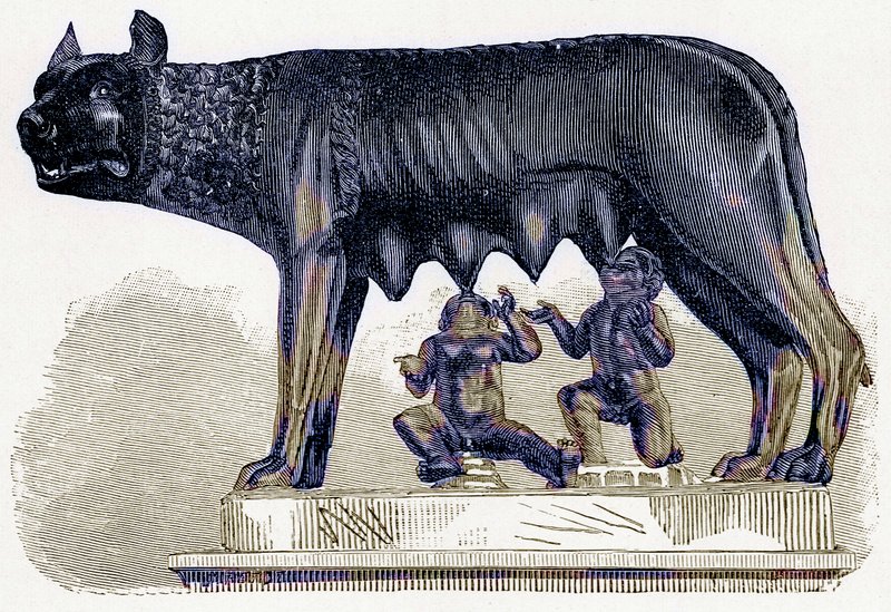 Wölfin des Kapitols, Illustration aus Geschichte Roms von Victor Duruy, veröffentlicht 1884 von English School