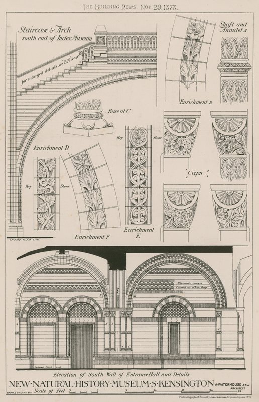 Treppe und Bogen und Erhebung der Südwand der Eingangshalle des neuen Natural History Museum, South Kensington von English School