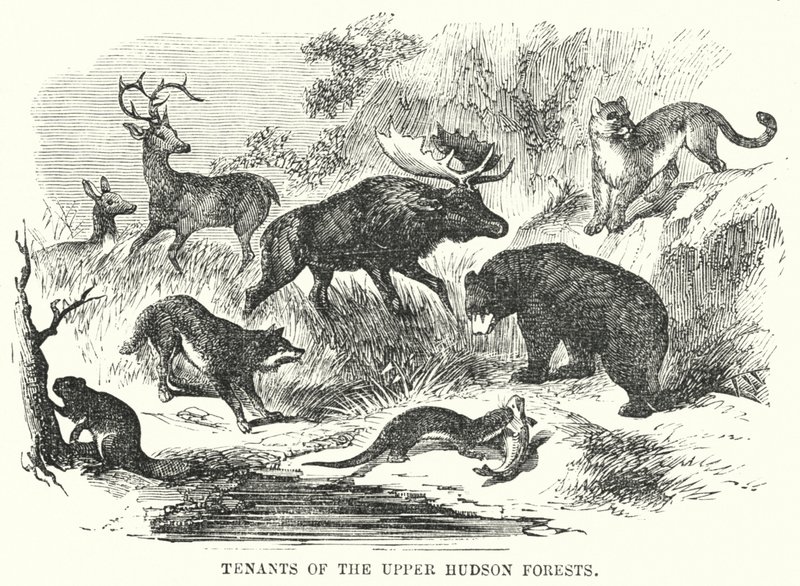 Mieter der oberen Hudson-Wälder (Gravur) von English School
