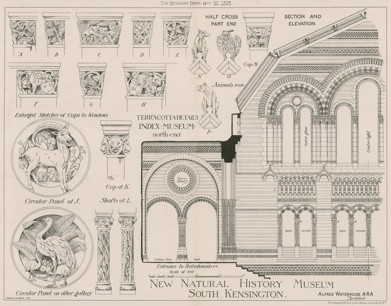 Terrakotta-Details vom neuen Natural History Museum, South Kensington von English School