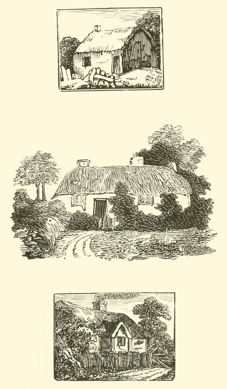 Reetgedeckte Häuser von English School