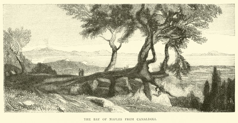 Die Bucht von Neapel von Camaldoli von English School