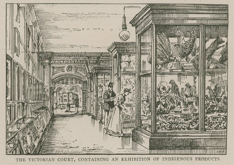 Das Imperial Institute: Der viktorianische Hof, der eine Ausstellung einheimischer Produkte enthält von English School
