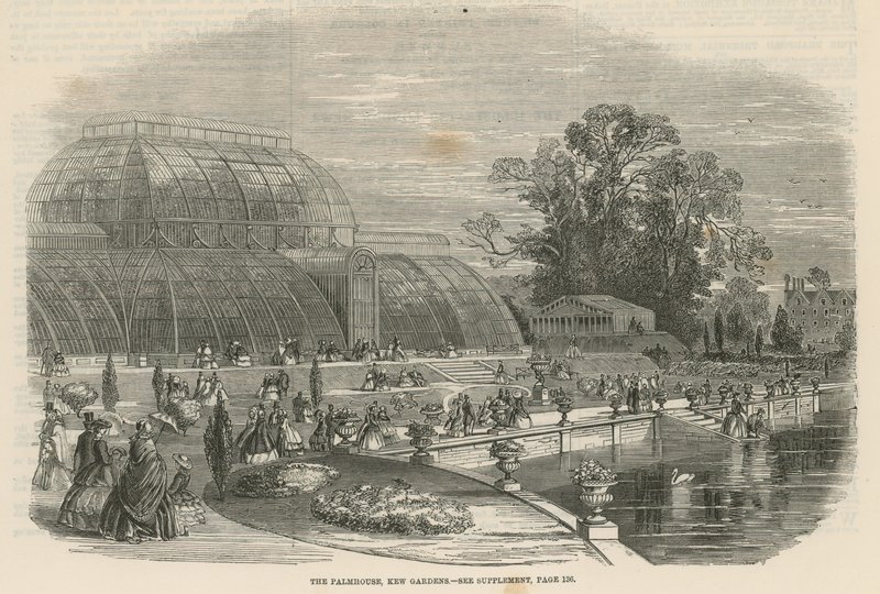 Das Palmenhaus, Kew Gardens, London von English School