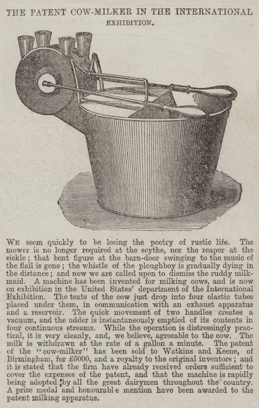 Die Patent-Kuhmelkmaschine in der Internationalen Ausstellung von English School