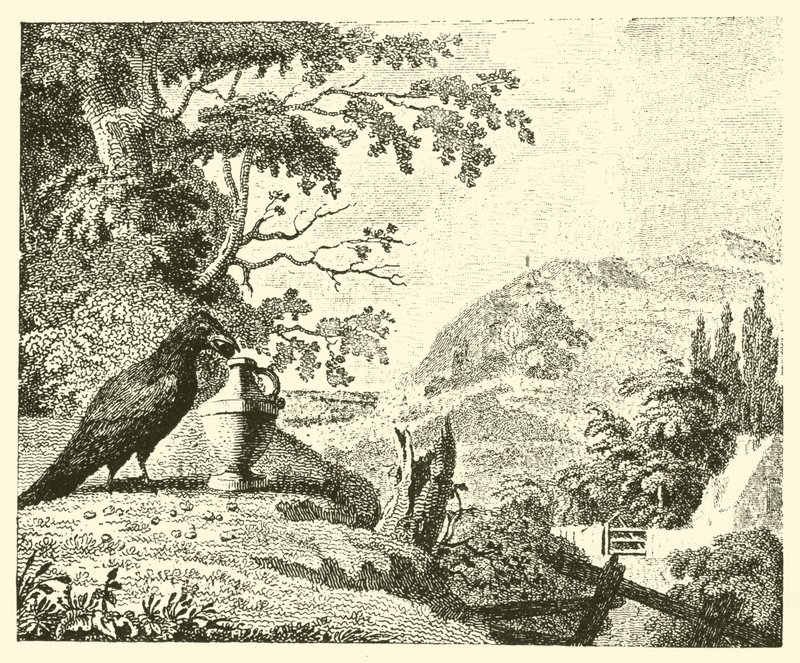 Die Krähe und der Krug von English School