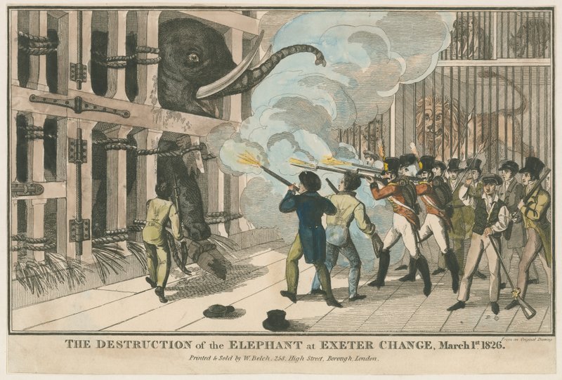 Die Zerstörung des Elefanten im Exeter Change, 1. März 1826 von English School