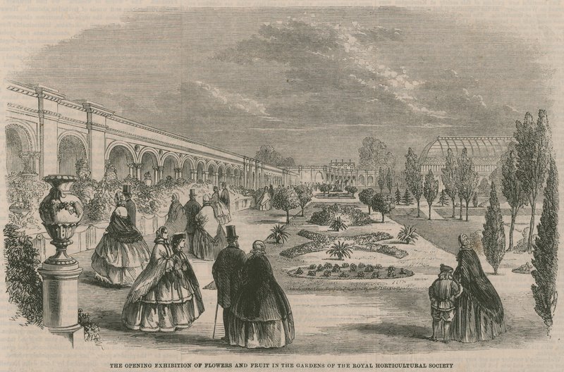 Die Eröffnungsausstellung von Blumen und Früchten in den Gärten der Königlichen Gartenbaugesellschaft von English School