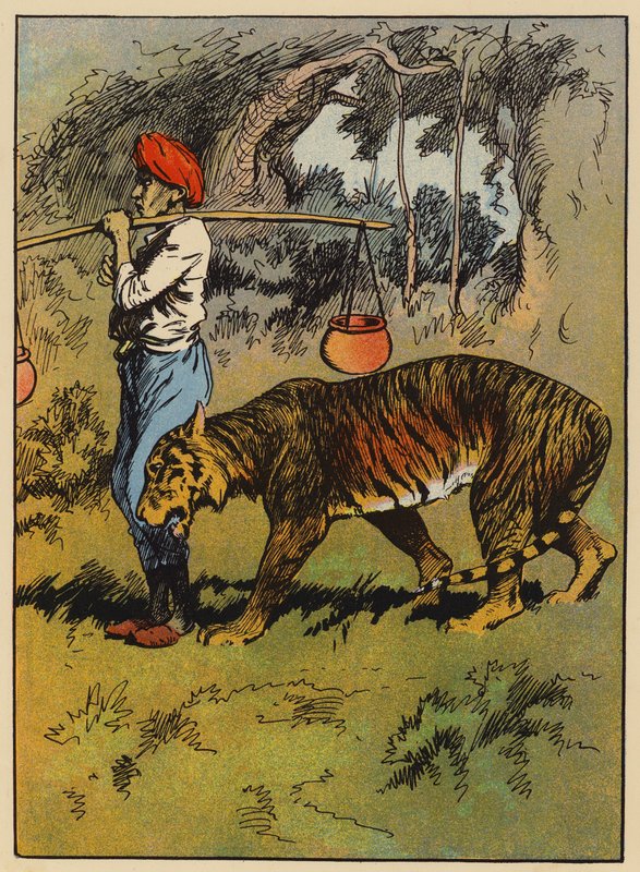 Der Tiger reibt sich am Bein des Mannes von English School
