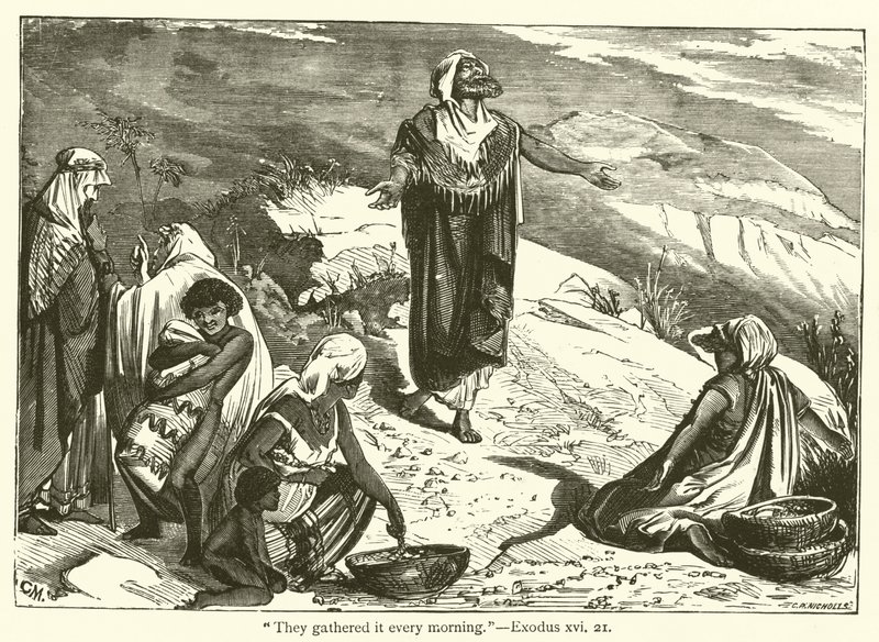 "Sie sammelten es jeden Morgen", Exodus, xvi, 21 von English School