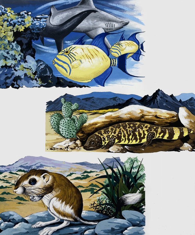 Unterwasserwesen und Maus von English School
