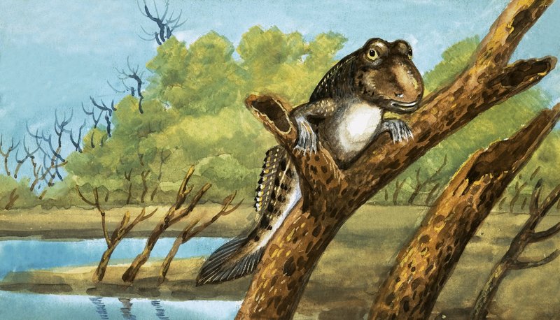 Unidentifiziertes Wesen von English School