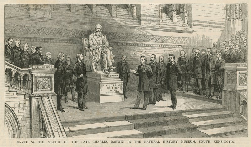 Enthüllung der Statue des verstorbenen Charles Darwin im Natural History Museum, South Kensington von English School
