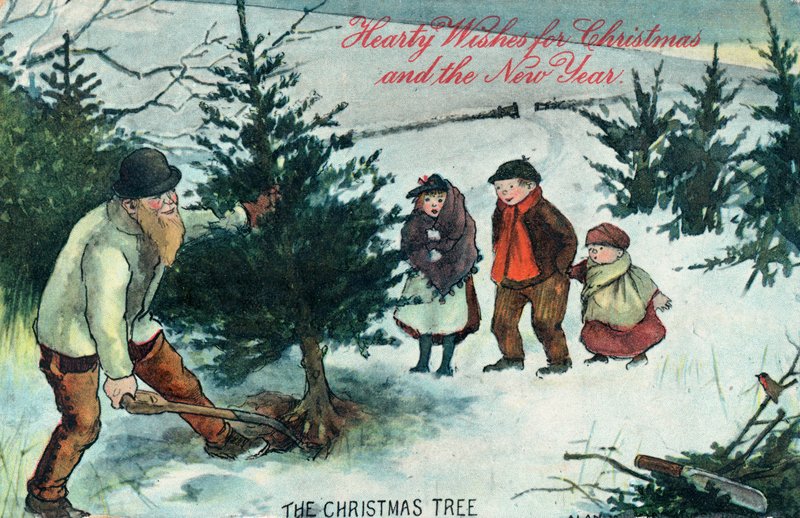 Weihnachtsbaum entwurzeln, Weihnachtskarte von English School