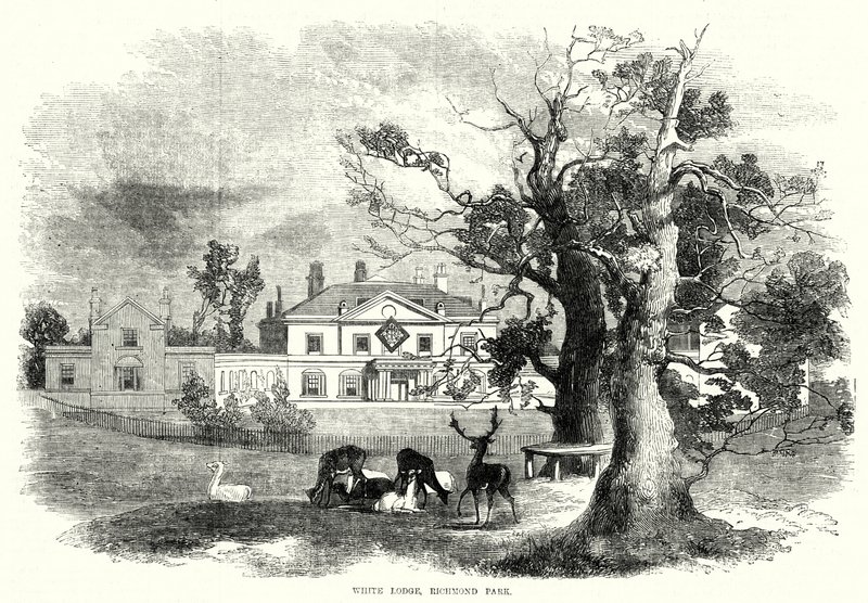 White Lodge, Richmond Park (Stich) von English School