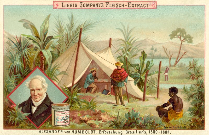 Alexander von Humboldts Expedition nach Südamerika, 1800-1804 von European School