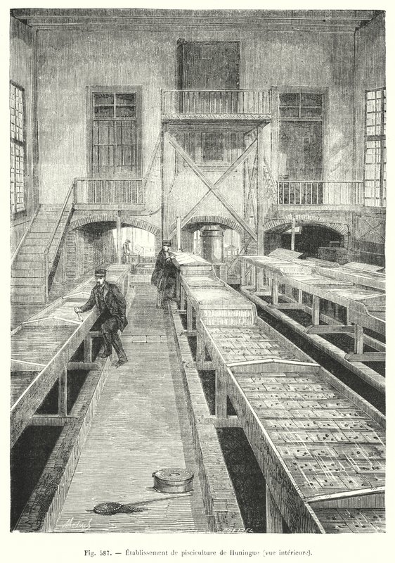 Fischzuchtanlage von Huningue, Innenansicht von European School