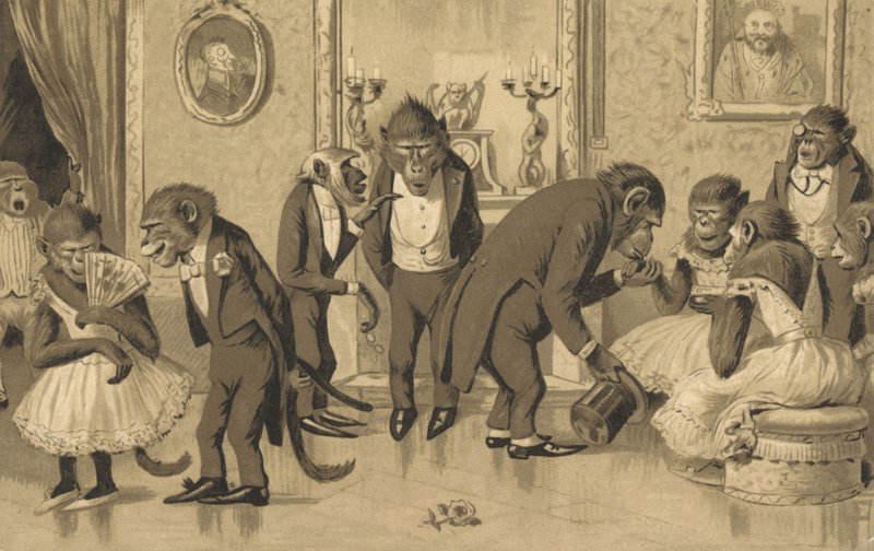 Abendgesellschaft von Pavianen von European School