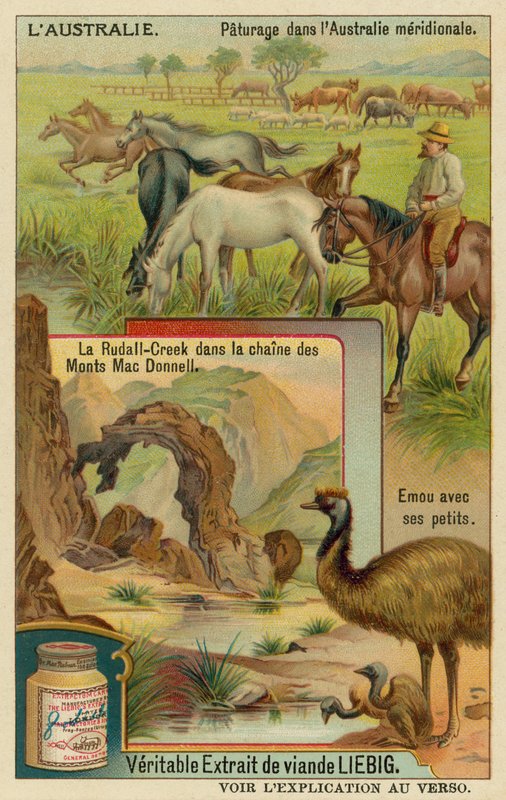 Pferde auf der Weide, Ridells Creek in den MacDonnell-Bergen und ein Emu mit seinen Jungen von European School