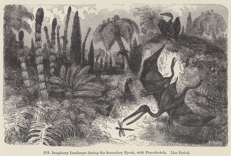 Imaginäre Landschaft während der Sekundärzeit, mit Pterodaktylen, Lias-Periode von European School