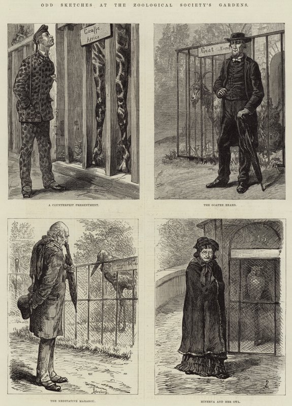 Seltsame Skizzen im Zoologischen Garten (Gravur) von European School
