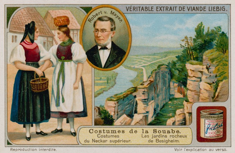 Die Kleidung des oberen Neckartals, Julius Robert von Mayer und die Felsengärten von Besigheim von European School