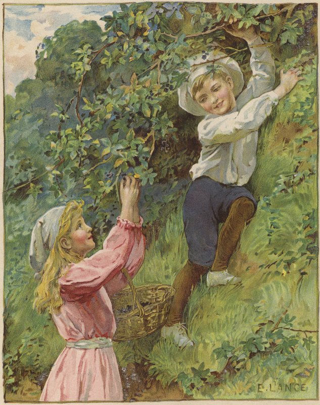 Ein junges Mädchen und ein junger Junge pflücken Brombeeren von Eveline Lance