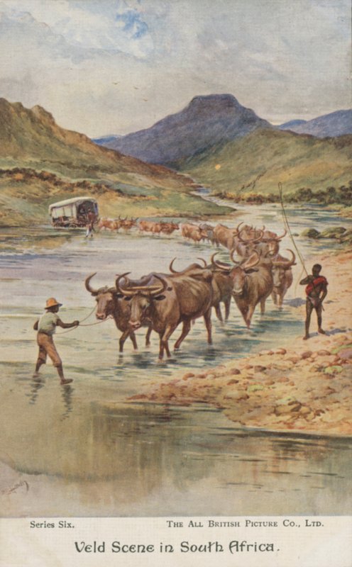 Bauern treiben Vieh, Südafrika (Farblithografie) von Evelyn Stuart Hardy