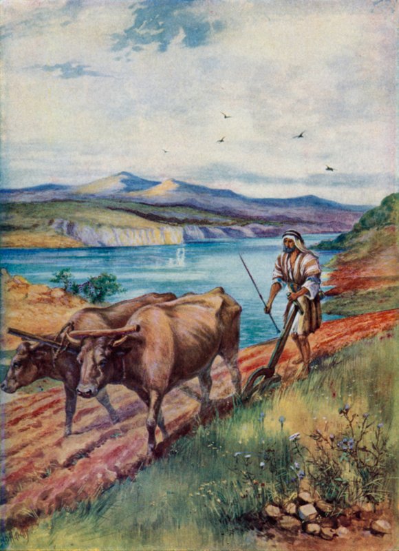 Pflügen im Land Jesu von Evelyn Stuart Hardy
