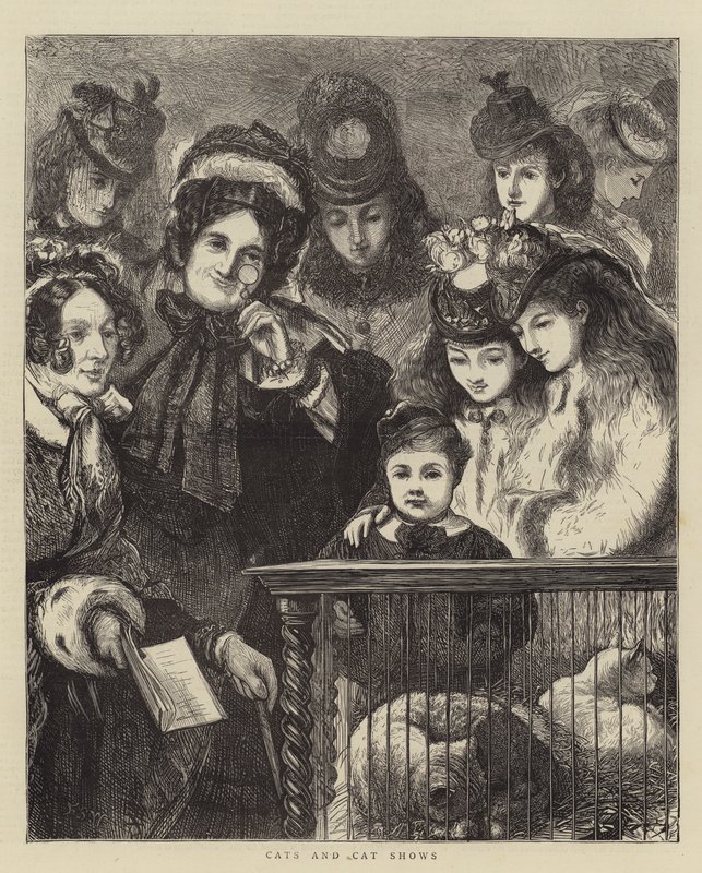Katzen und Katzenausstellungen von Francis S. Walker