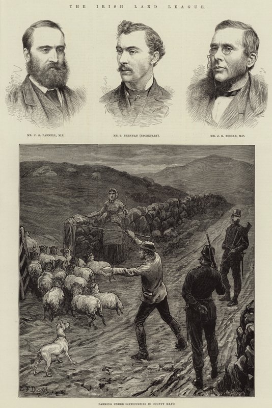 Die irische Landliga von Frank Dadd